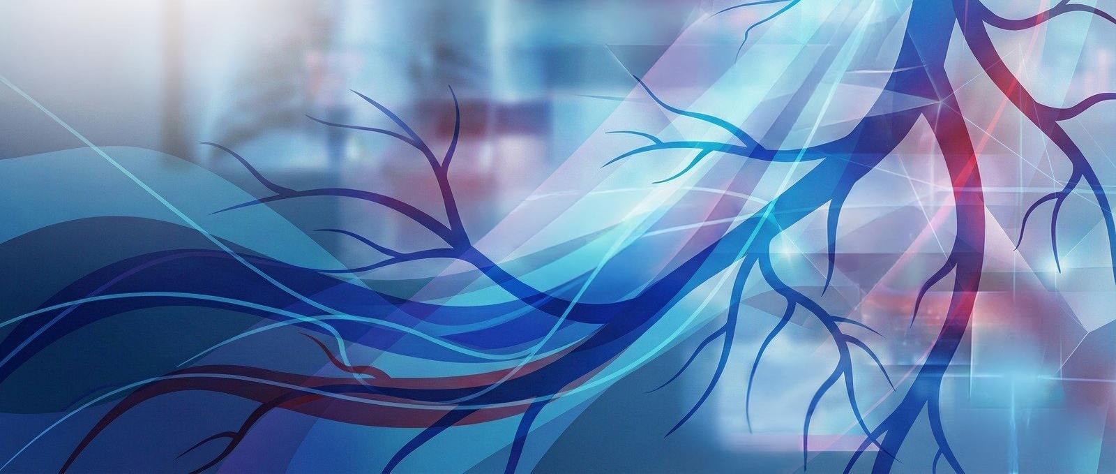 IVAS - Italian Vascular Access Society